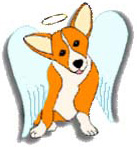 obrázek psa anděla