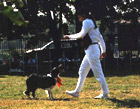 obrázek Věra Brunclíková tanec se psem